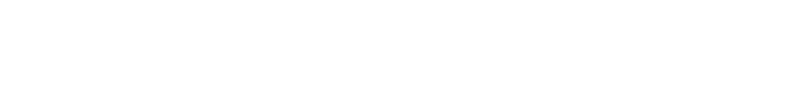 SKAI icon.png